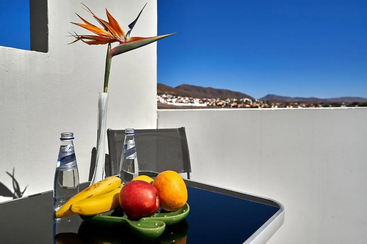 Ferienwohnung Casa De Cactus Tarajalejo
